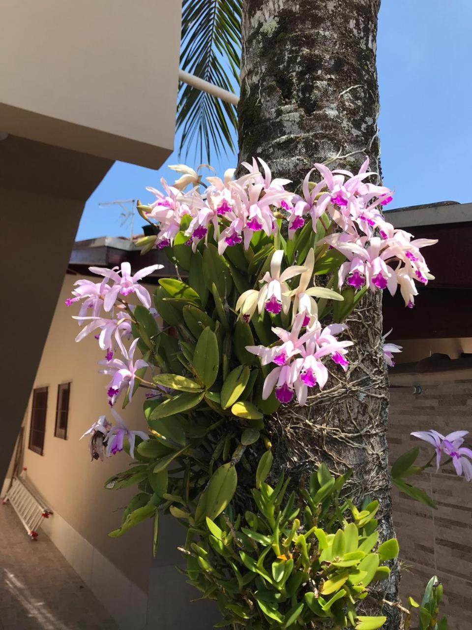 Recanto Lorenzi - Aptos Ubatuba Exterior foto